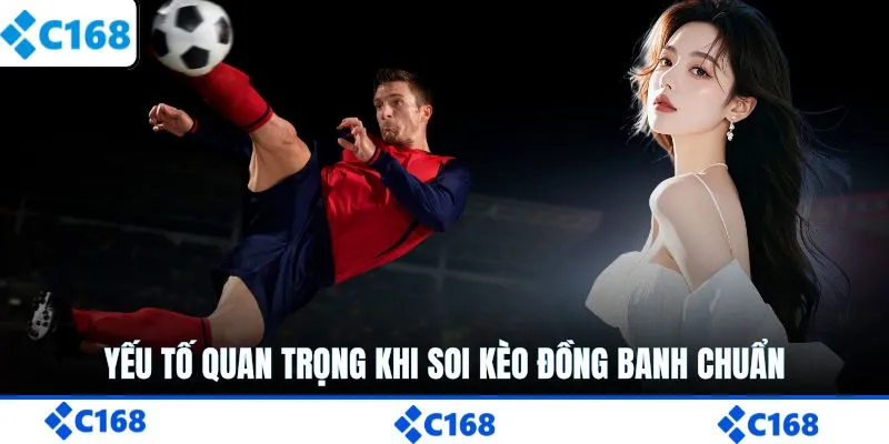 Yếu tố quan trọng khi soi kèo đồng banh chuẩn